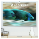 Wunderwelt. Das bunte Leben im Meer (hochwertiger Premium Wandkalender 2025 DIN A2 quer), Kunstdruck in Hochglanz