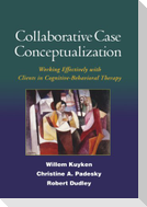 Collaborative Case Conceptualization