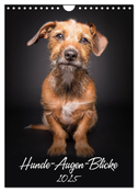 Hunde-Augen-Blicke (Wandkalender 2025 DIN A4 hoch), CALVENDO Monatskalender
