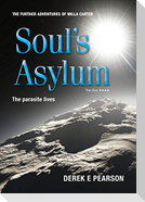 Soul's Asylum