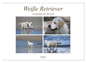 SchnelleWelten, SchnelleWelten. Weiße Retriever vergnügt am Strand (Wandkalender 2025 DIN A3 quer), CALVENDO Monatskalender - Hunde im Urlaub. Calvendo, 2024.