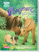 Ponyherz und Herr Franz: Kleines Fohlen, großer Held