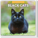 Black Cats - Schwarze Katzen 2027 - 16-Monatskalender