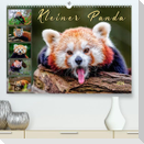 Kleiner Panda (Premium, hochwertiger DIN A2 Wandkalender 2023, Kunstdruck in Hochglanz)