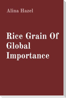 Rice Grain Of Global Importance