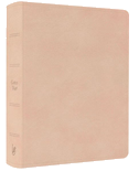 Schlachter LIEBEZURBIBEL Beige