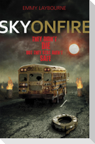 Sky on Fire