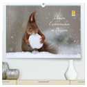 Unsere Eichhörnchen in Bayern (hochwertiger Premium Wandkalender 2025 DIN A2 quer), Kunstdruck in Hochglanz