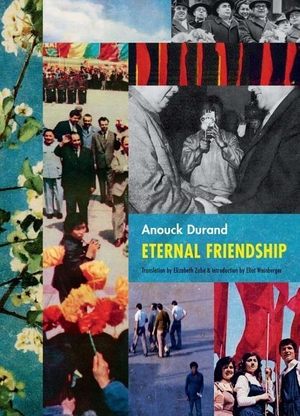 Anouck Durand: Eternal Friendship. Siglio Press, 2017.