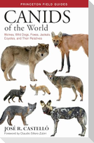 Canids of the World