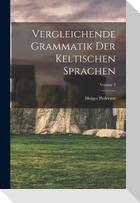 Vergleichende Grammatik der keltischen Sprachen; Volume 2