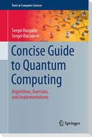 Concise Guide to Quantum Computing