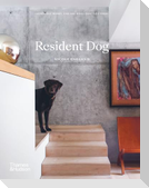 Resident Dog