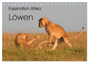 Faszination Afrika: Löwen (Tischkalender 2024 DIN A5 quer), CALVENDO Monatskalender
