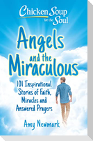 Chicken Soup for the Soul: Angels and the Miraculous