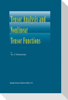 Tensor Analysis and Nonlinear Tensor Functions