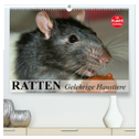 Ratten. Gelehrige Haustiere (hochwertiger Premium Wandkalender 2024 DIN A2 quer), Kunstdruck in Hochglanz