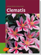 Clematis