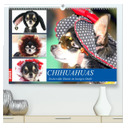 Chihuahuas. Zuckersüße Hunde im lustigen Outfit (hochwertiger Premium Wandkalender 2025 DIN A2 quer), Kunstdruck in Hochglanz