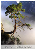 Bäume - Stilles Leben (Wandkalender 2024 DIN A4 hoch), CALVENDO Monatskalender