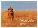 Tierparadies Kenia (Wandkalender 2024 DIN A2 quer), CALVENDO Monatskalender