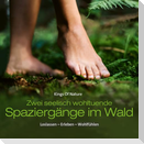 Spaziergänge Im Wald