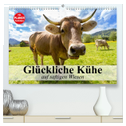 Glückliche Kühe auf saftigen Wiesen (hochwertiger Premium Wandkalender 2024 DIN A2 quer), Kunstdruck in Hochglanz