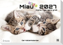 Miau Kids - kleine Tiger ganz groß - Der Katzenkalender - 2027 - Kalender DIN A3