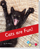 Cats are Fun!