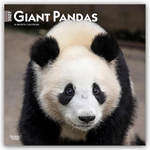 Publishers, Browntrout. Giant Pandas - Großer Panda - Pandabären 2027 - 16-Monatskalender - Original BrownTrout-Kalender [Mehrsprachig] [Kalender]. Browntrout Verlags GmbH, 2026.