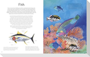 The Illustrated Encyclopedia of Ocean Life