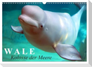 Wale - Kolosse der Meere (Wandkalender 2025 DIN A3 quer), CALVENDO Monatskalender