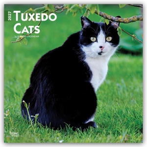 Publishers, Browntrout. Tuxedo Cats - Tuxedo Katzen 2027 - 16-Monatskalender - Original BrownTrout-Kalender [Mehrsprachig] [Kalender]. Browntrout Verlags GmbH, 2026.