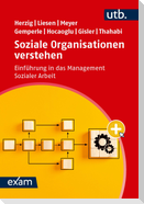 Soziale Organisationen verstehen