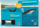 Bilderbuchkarten »Die Schnecke und der Buckelwal« von Axel Scheffler und Julia Donaldson
