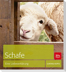 Schafe