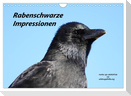 Rabenschwarze Impressionen - meike-ajo-dettlaff.de via wildvogelhlfe.org (Wandkalender 2024 DIN A4 quer), CALVENDO Monatskalender