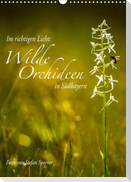 Im richtigen Licht: Wilde Orchideen in Südbayern (Wandkalender 2023 DIN A3 hoch)