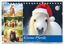 Kleine Pferde. Mini-Ponys zum verlieben (Tischkalender 2025 DIN A5 quer), CALVENDO Monatskalender