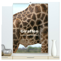 Giraffen - Anmut und Sanftheit (hochwertiger Premium Wandkalender 2024 DIN A2 hoch), Kunstdruck in Hochglanz