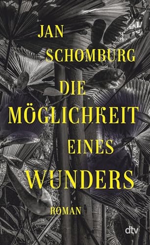 Schomburg, Jan. Die Möglichkeit eines Wunders - Roman | 'Mehr als ein Roman: ein Trip!' Denis Scheck. dtv Verlagsgesellschaft, 2024.