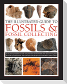Fossils & Fossil Collecting, The Illustrated Guide to