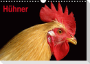 Hühner / Geburtstagskalender (Wandkalender immerwährend DIN A4 quer)