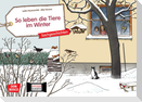 So leben die Tiere im Winter. Kamishibai Bildkartenset.