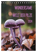 Wundersame Welt der Pilze (Tischkalender 2024 DIN A5 hoch), CALVENDO Monatskalender