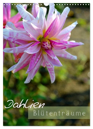 Kröll, Ulrike. Dahlien - Blütenträume (Wandkalender 2024 DIN A3 hoch), CALVENDO Monatskalender - Für Freunde dieser sehr schönen Blumen eine Augenweide. Calvendo, 2023.