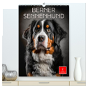 Berner Sennenhund - gutmütig und treu (hochwertiger Premium Wandkalender 2024 DIN A2 hoch), Kunstdruck in Hochglanz