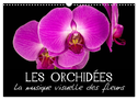 Les Orchidées - La musique visuelle des fleurs (Calendrier mural 2024 DIN A3 vertical), CALVENDO calendrier mensuel