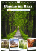 Bäume im Harz (Wandkalender 2024 DIN A4 hoch), CALVENDO Monatskalender