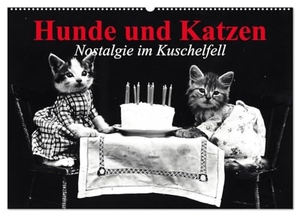 Stanzer, Elisabeth. Hunde und Katzen - Nostalgie im Kuschelfell (Wandkalender 2024 DIN A2 quer), CALVENDO Monatskalender - Süße Tiere im Jahr 1914. Calvendo Verlag, 2023.